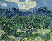 Vincent Van Gogh The Olive Trees oil